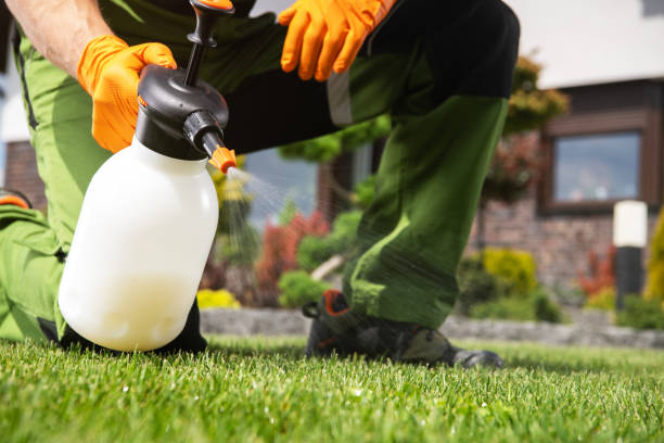 Best Affordable Pest Control Services  in Sebastian, TX