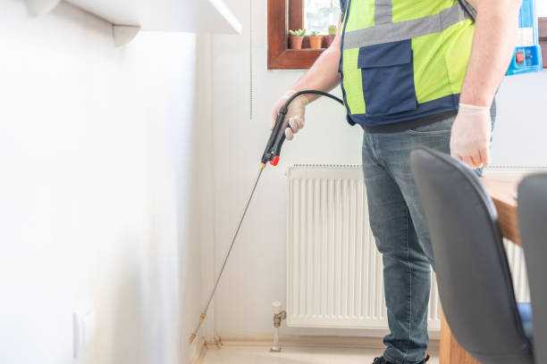 Best Flea Control Services  in Sebastian, TX