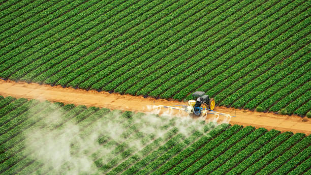 Best Commercial Pest Control Services  in Sebastian, TX
