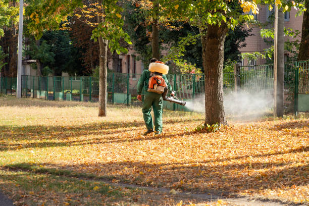 Best Rodent Control Near Me  in Sebastian, TX