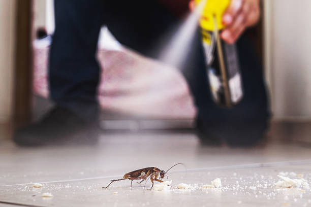 Best Pest Inspection Near Me  in Sebastian, TX